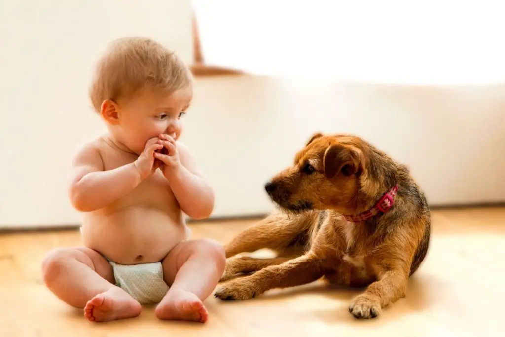 Does Sign Language Count As Words For Babies