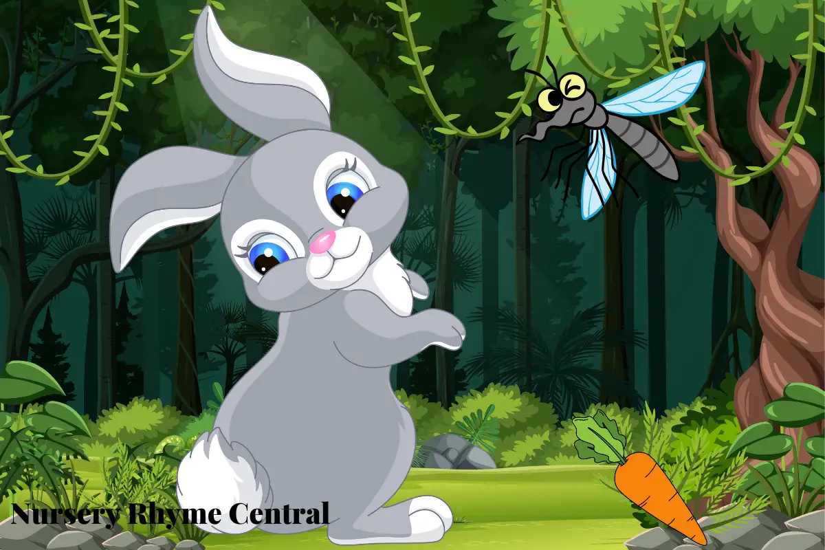 Little Peter Rabbit Nursery Rhyme Lyrics History Video Lesson Plans Little Peter Rabbit Nursery Rhyme Lyrics History Video Lesson Plans