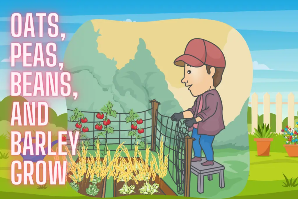 Oats, Peas, Beans and Barley Grow Nursery Rhyme Lyrics, Video and